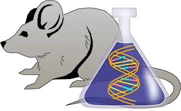 Mouse Factor IX Genetically Deficient Lung