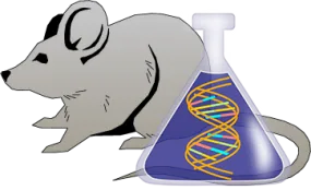 Mouse Factor IX Genetically Deficient Lung